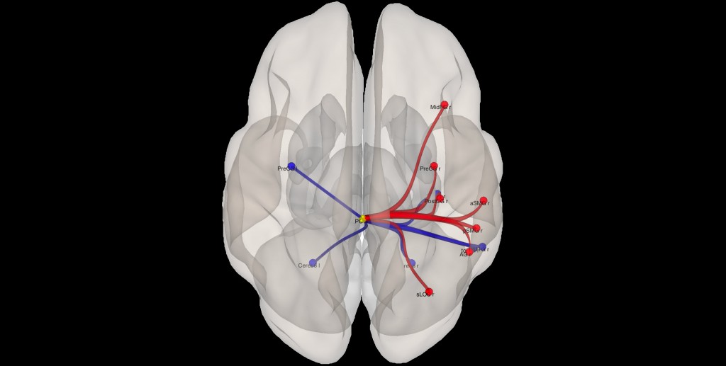 Cerebellar connectivity and painful experience